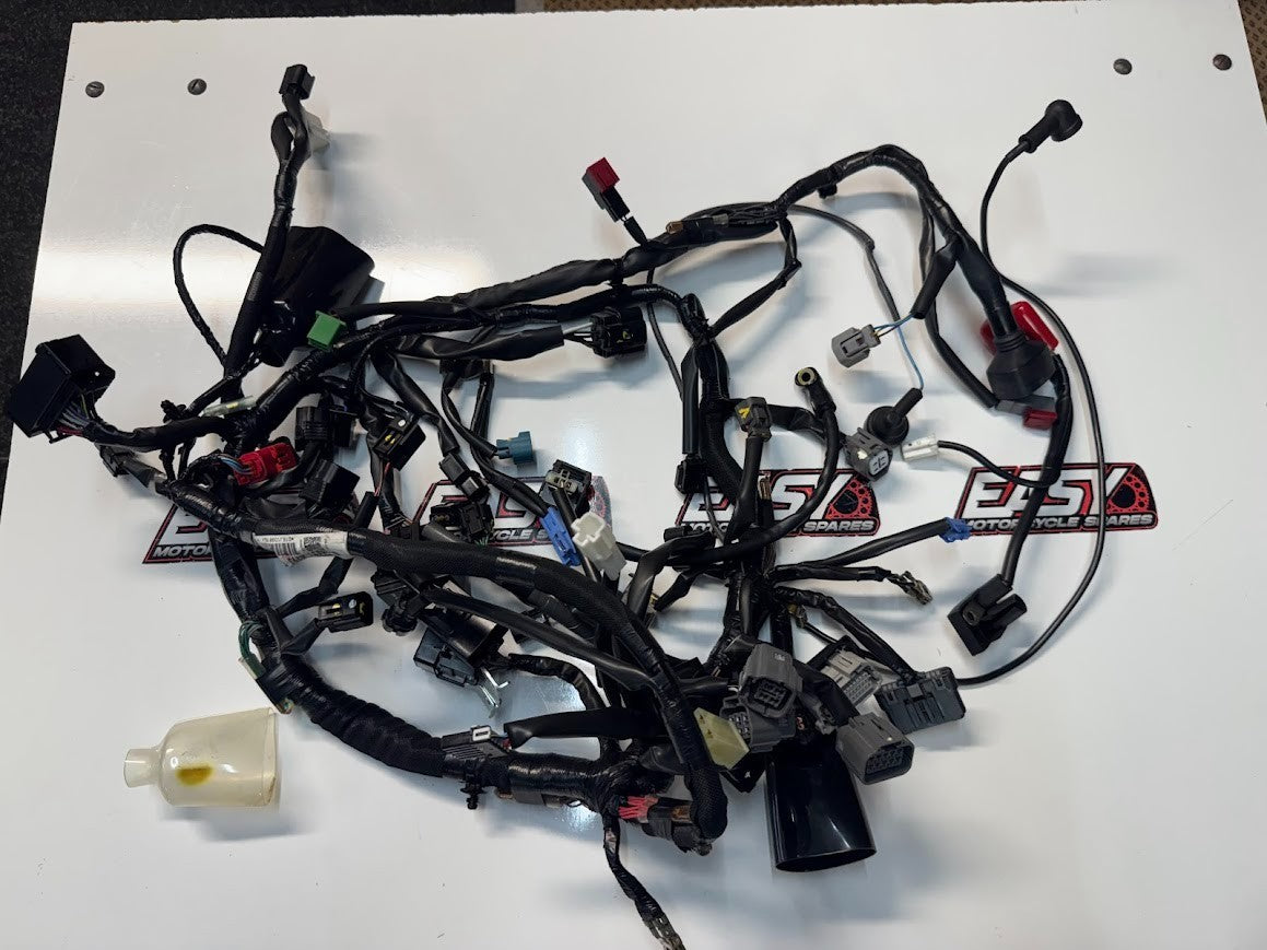 Kawasaki Ninja 500 2024-2025 Main Wiring Harness OEM Genuine 26031-4293