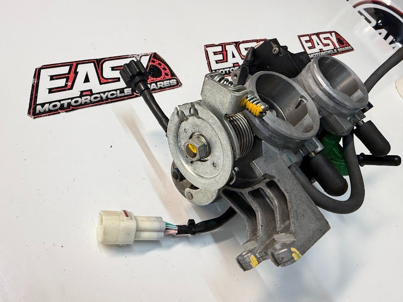 Throttle Bodies Complete Body Kawasaki Ninja 300 2013-2017 OEM 16163-0746