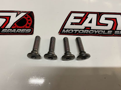 Rear Rotor Bolts Kawasaki Ninja ZX-6R 2008