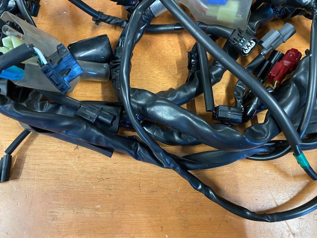 Wiring Harness Honda CMX 500 2019