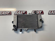 Yamaha YZF R15 2011-2016 Radiator Cooling OEM Genuine 38B-E240A-00
