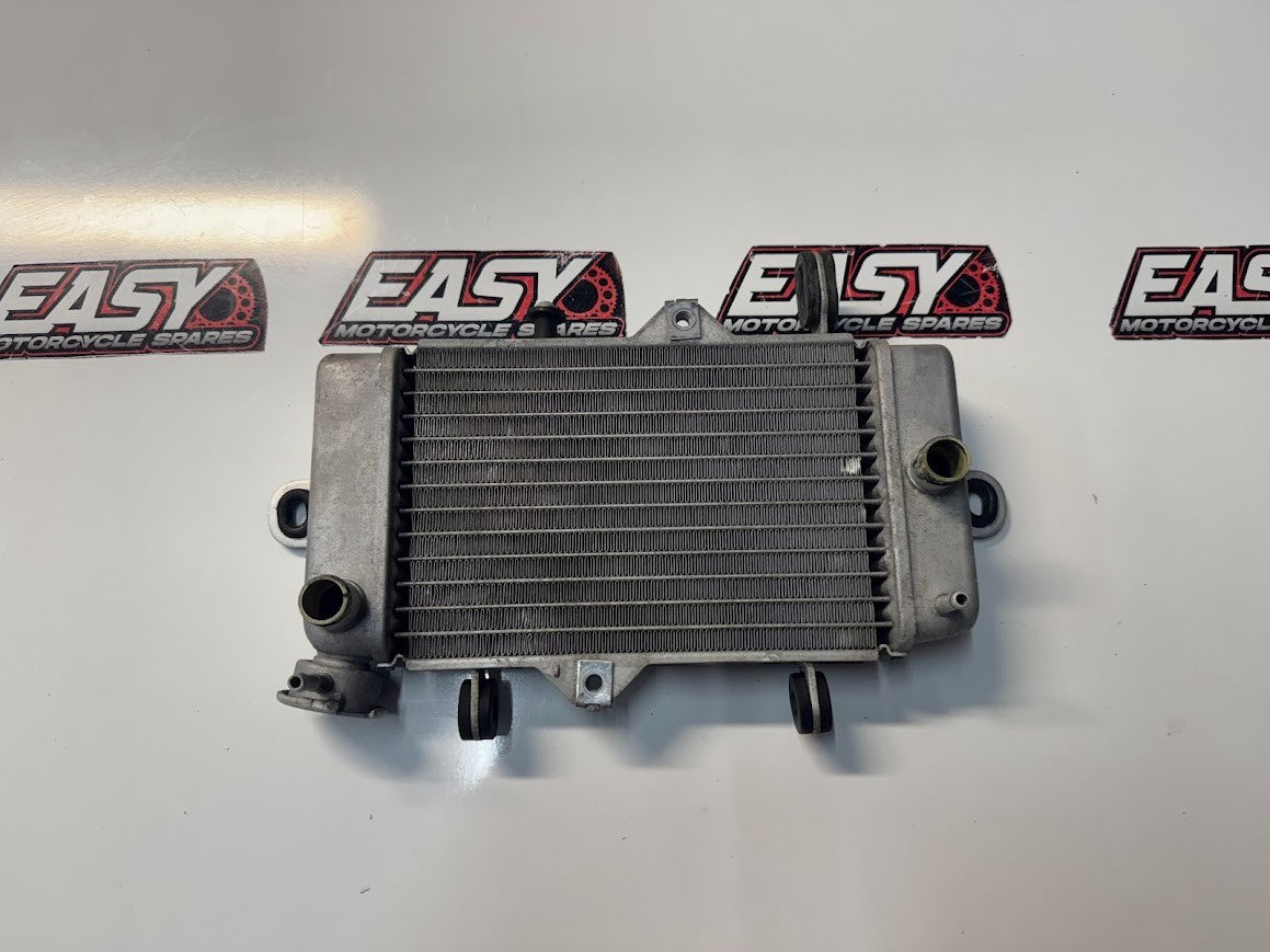 Yamaha YZF R15 2011-2016 Radiator Cooling OEM Genuine 38B-E240A-00