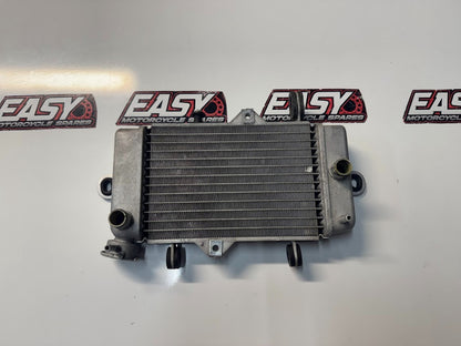 Yamaha YZF R15 2011-2016 Radiator Cooling OEM Genuine 38B-E240A-00