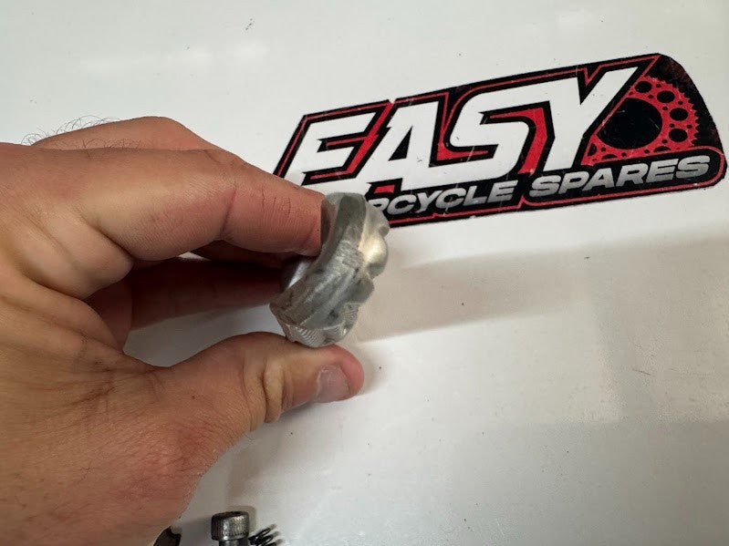 Yamaha YZF R1 2004-2019 LH Pillion Foot Peg OEM Genuine 5JJ-27431-10