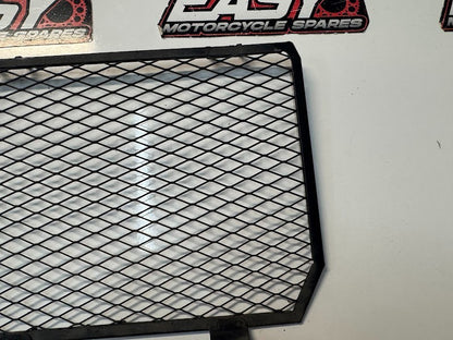 Yamaha YZF R1 2015-2025 Oil Cooler Guard OEM Genuine 2CR-13463-00