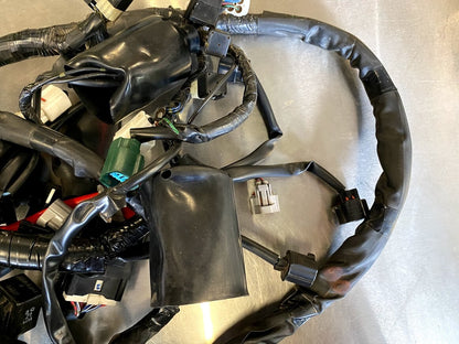 Wiring Harness Yamaha FZ6R 2013