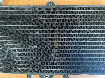 OEM Radiator Yamaha FZS 600 1998