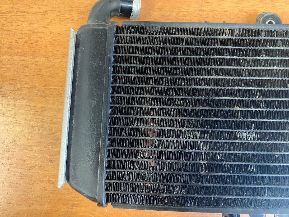 OEM Radiator Yamaha FZS 600 1998