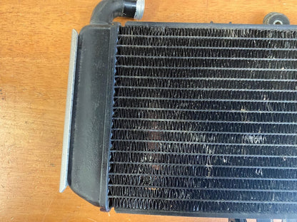 OEM Radiator Yamaha FZS 600 1998