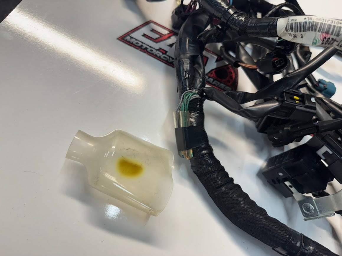 Kawasaki Ninja 500 2024-2025 Main Wiring Harness OEM Genuine 26031-4293