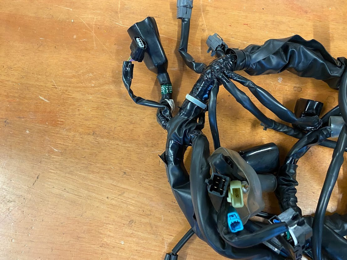 Wiring Harness Honda CMX 500 2019