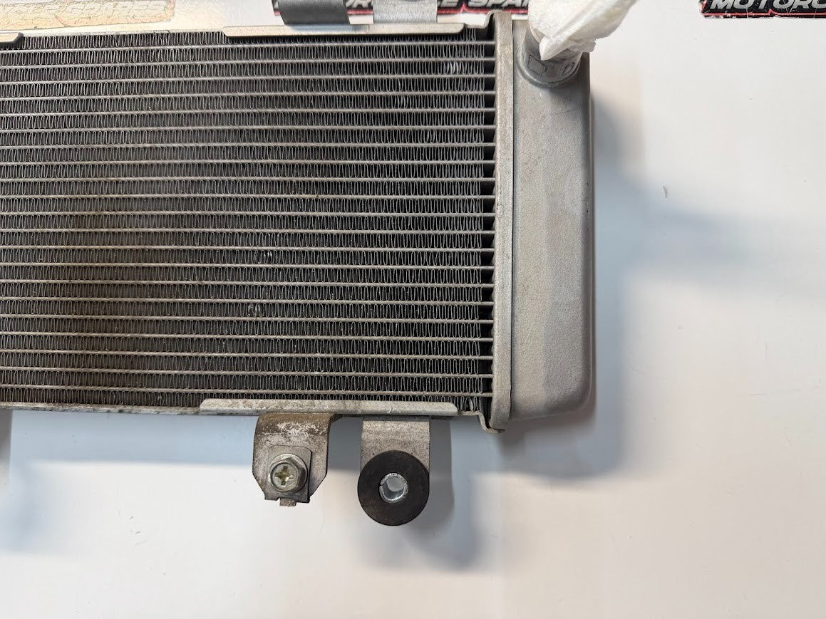 Radiator Cooling Kawasaki Ninja 300 2013-2017 OEM 39060-0710