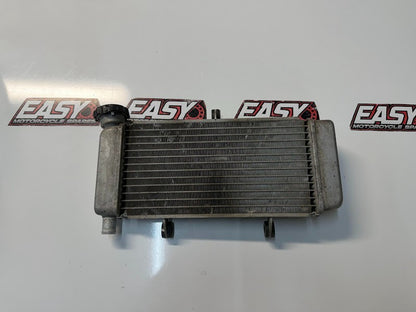 Radiator Cooling Honda CB 300F 2014-2018 OEM 19010-KYJ-961