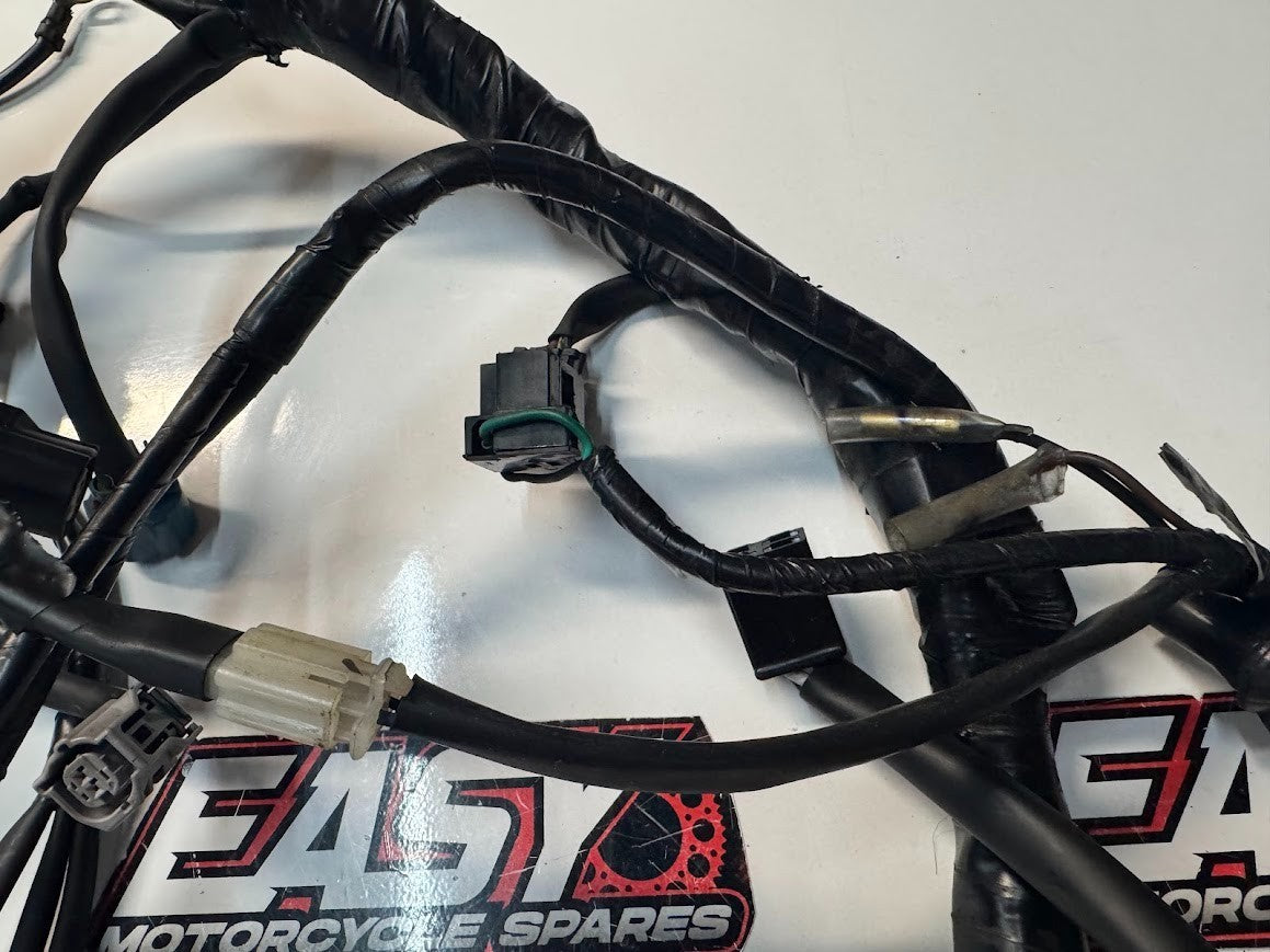 Yamaha YZF R15 2015-2018 Main Wiring Harness OEM Genuine B13-H2590-00