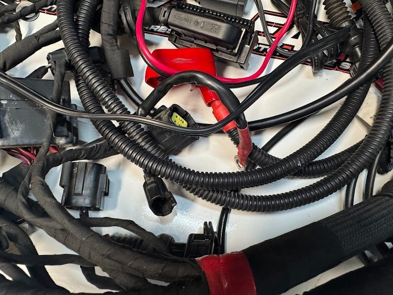 Ducati Monster 659 LAMS 2017-2021 Main Wiring Harness OEM Genuine 5101B851E