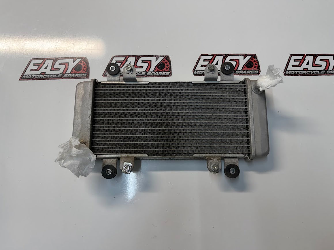 Radiator Cooling Kawasaki Ninja 300 2013-2017 OEM 39060-0710