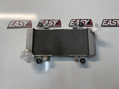 Radiator Cooling Kawasaki Ninja 300 2013-2017 OEM 39060-0710