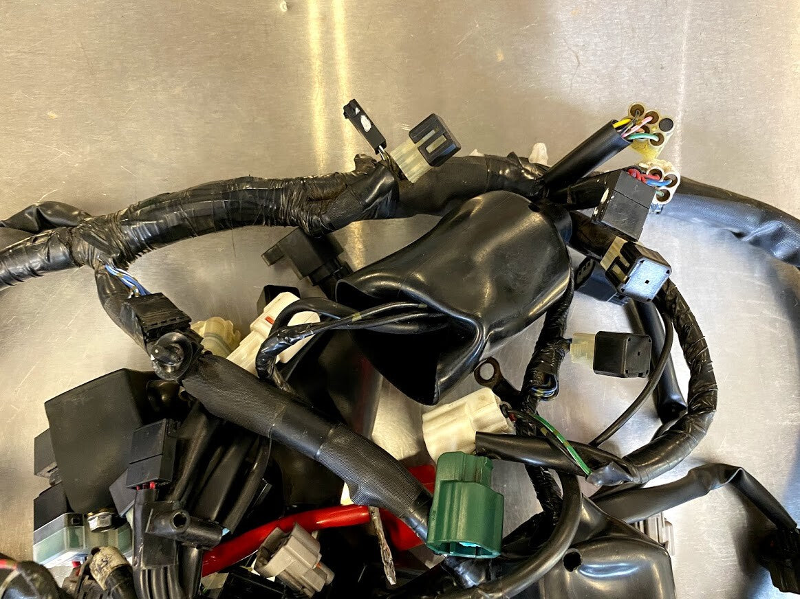 Wiring Harness Yamaha FZ6R 2013