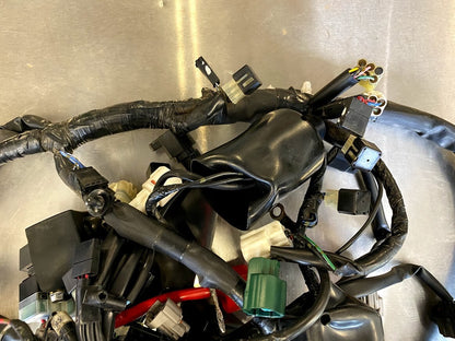 Wiring Harness Yamaha FZ6R 2013