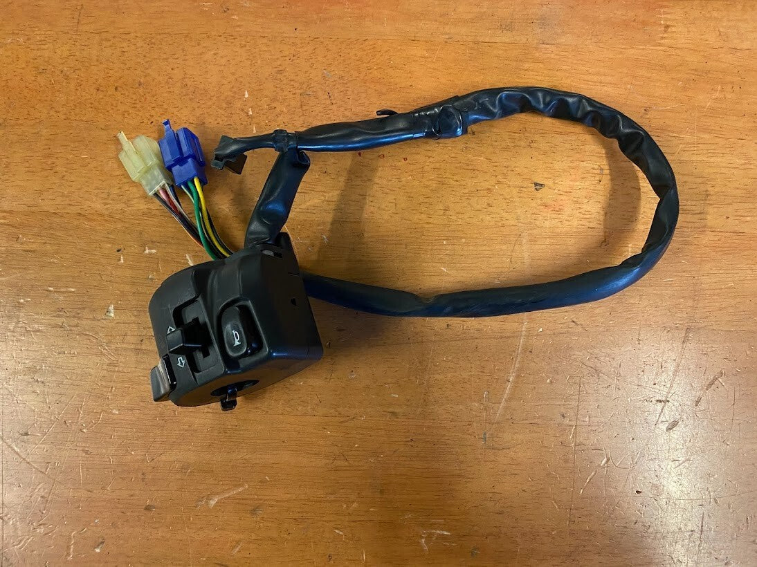 LH Switch Block Yamaha FZS 600 1998