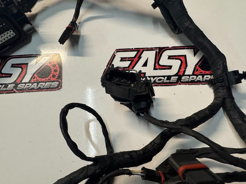 BMW F800 ST 2009 Injector Sub Harness Loom OEM Genuine