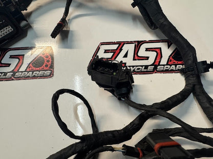 BMW F800 ST 2009 Injector Sub Harness Loom OEM Genuine