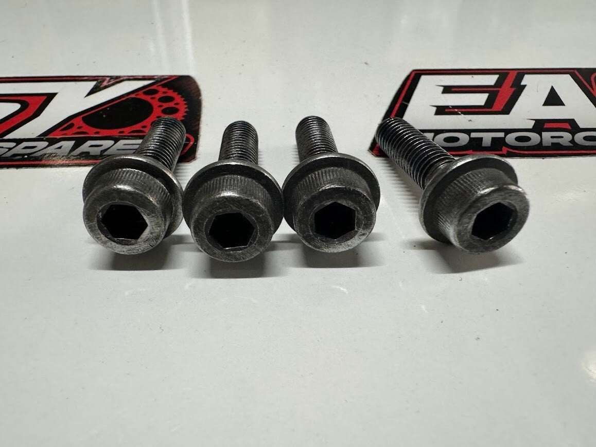 Rear Rotor Bolts Suzuki GS 500 2006