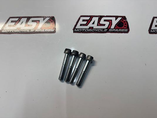 Ducati Monster 659 LAMS 2017-2021 Front Brake Caliper Mounting Bolts OEM Genuine