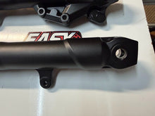 Front Forks Suspension Kawasaki Ninja 300 2013-2017 OEM 33001-0632-18R